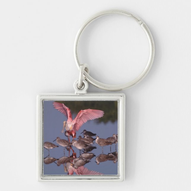 Roseate Spoonbill with Willets in shallow water Key Ring (Front)