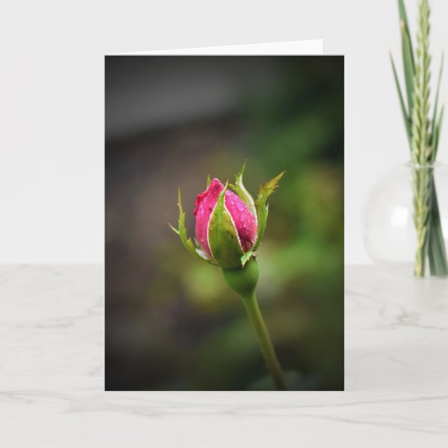 Rosebud, card (Front)