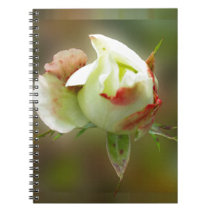 rosebud glowing spiral notebook