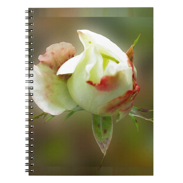rosebud glowing spiral notebook (Front)