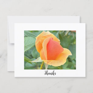 Rosebud Thank You Postcard