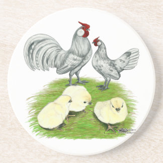 Rosecomb Bantams and Chicks Coaster