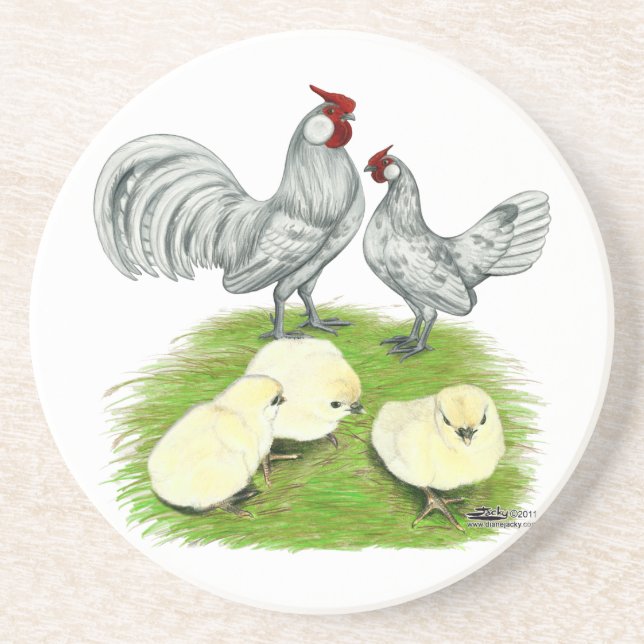 Rosecomb Bantams and Chicks Coaster (Front)