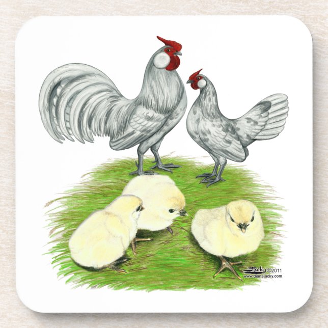 Rosecomb Bantams and Chicks Coaster (Front)