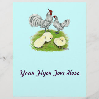 Rosecomb Bantams and Chicks Flyer