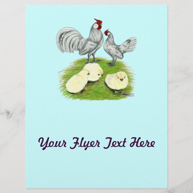 Rosecomb Bantams and Chicks Flyer (Front)