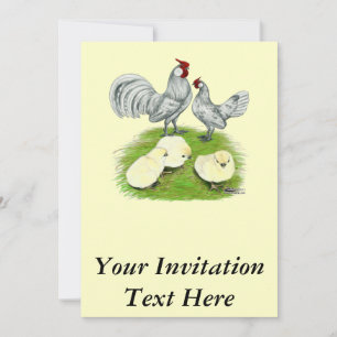 Rosecomb Bantams and Chicks Invitation