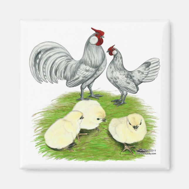 Rosecomb Bantams and Chicks Magnet (Front)