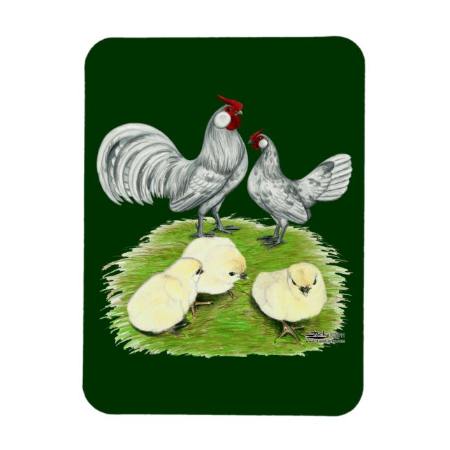 Rosecomb Bantams and Chicks Magnet (Vertical)