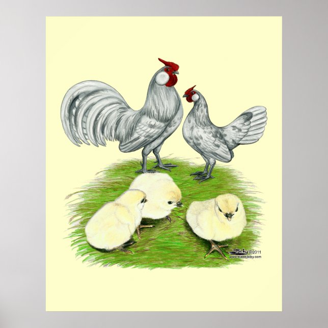 Rosecomb Bantams and Chicks Poster (Front)