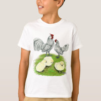 Rosecomb Bantams and Chicks