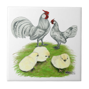 Rosecomb Bantams and Chicks Tile