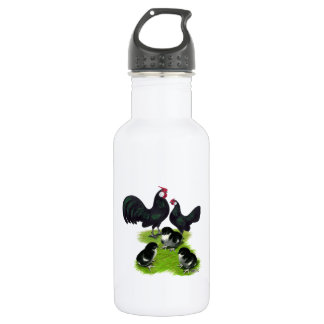 Rosecomb Black Bantam Family 532 Ml Water Bottle