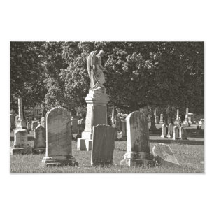 Rosehill III Photo Print