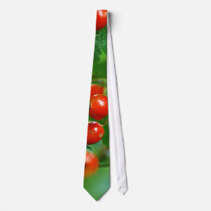 Rosehip bush after rain tie