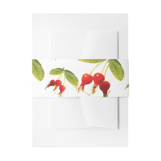 Rosehips Pattern 4 Angles Invitation Belly Band
