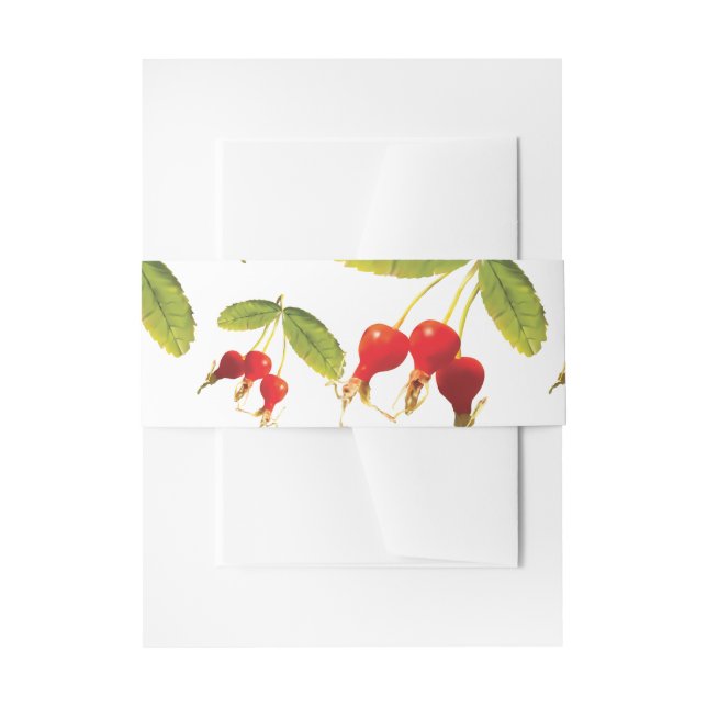 Rosehips Pattern 4 Angles Invitation Belly Band (Front Example)