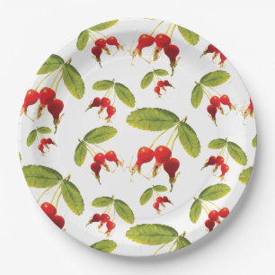 Rosehips Pattern 4 Angles Paper Plate