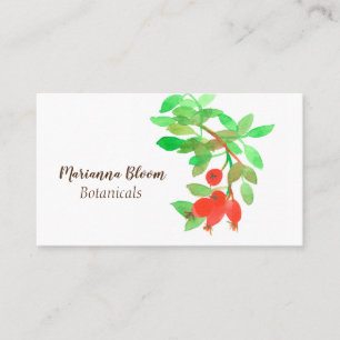 Rosehips Roses Herb Botanical Plant Red Business Card