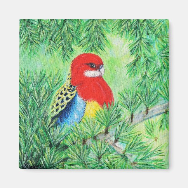 Rosella Bird Painting Magnet (Front)