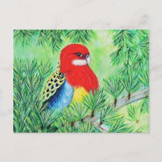 Rosella Bird Painting Postcard (Front)