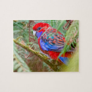 Rosella Birds of Australia Jigsaw Puzzle
