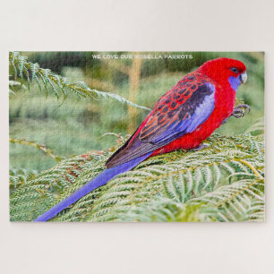 Rosella Parrots Australia Jigsaw Puzzle