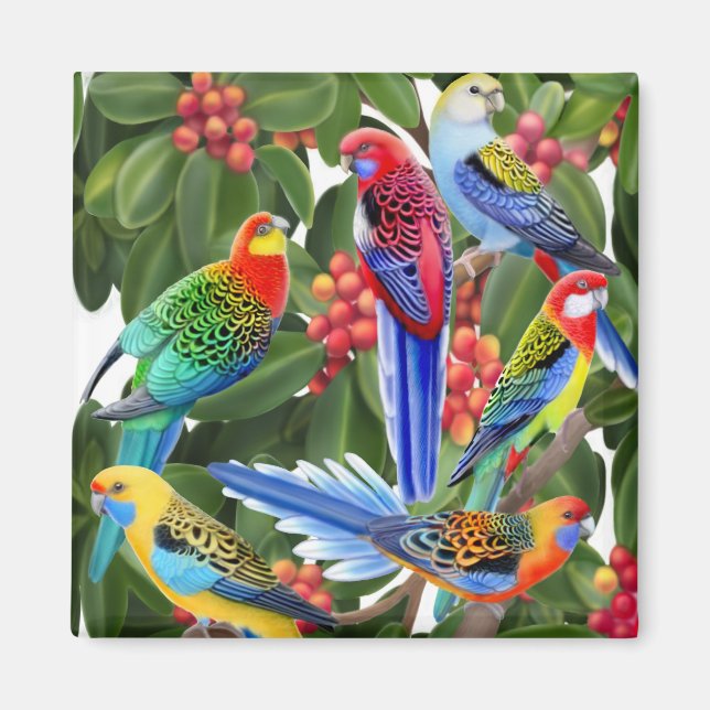 Rosella Parrots in Fig Tree Magnet (Front)