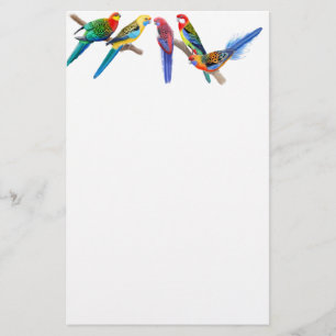 Rosella Parrots Stationery