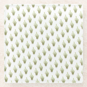 Rosemary herb kitchen art greenery rustic chic glass coaster