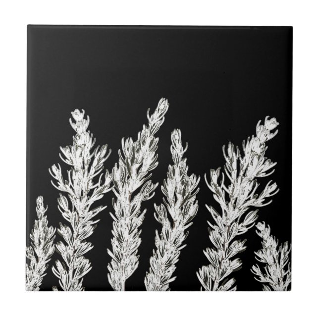 Rosemary Herb Leaves Branch Black White Tile (Front)