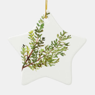Rosemary herb Rosemary watercolour painting Ceramic Tree Decoration