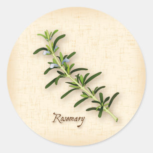 Rosemary Herb Round Stickers