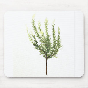 Rosemary herb vintage plants garden watercolor mouse pad