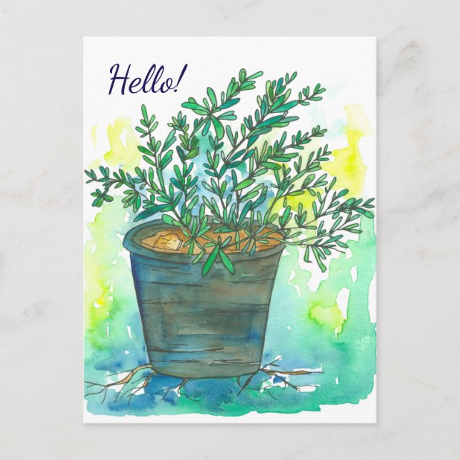 Rosemary Herb Watercolor Hello Postcard (Front)
