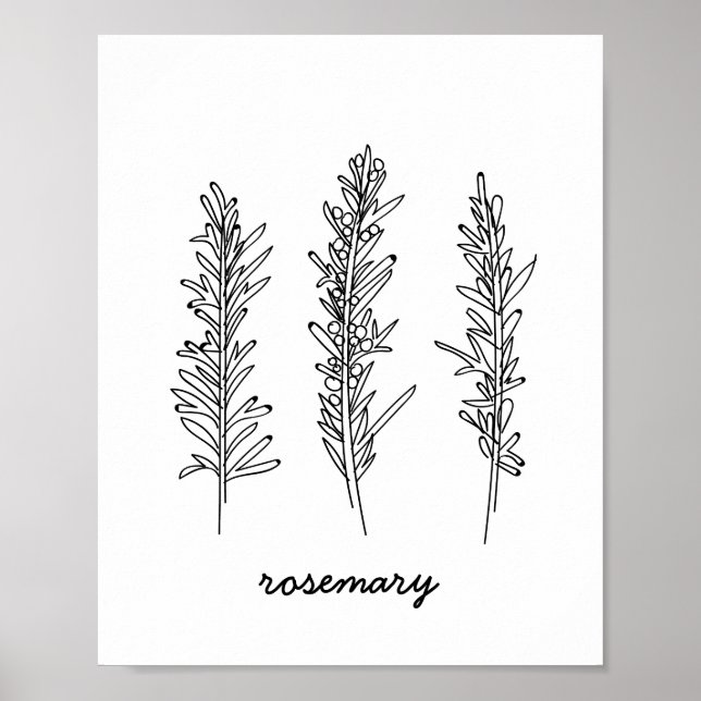 Rosemary Illustration Print (Front)