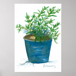 Rosemary Kitchen Herb Plant Watercolor Painting Poster