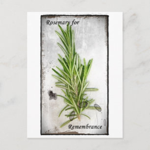 Rosemary Postcard