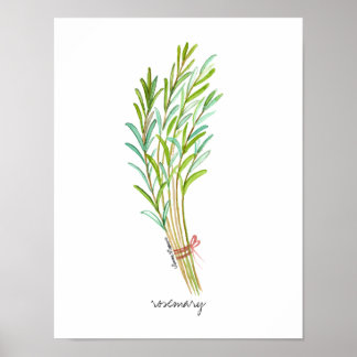 Rosemary poster