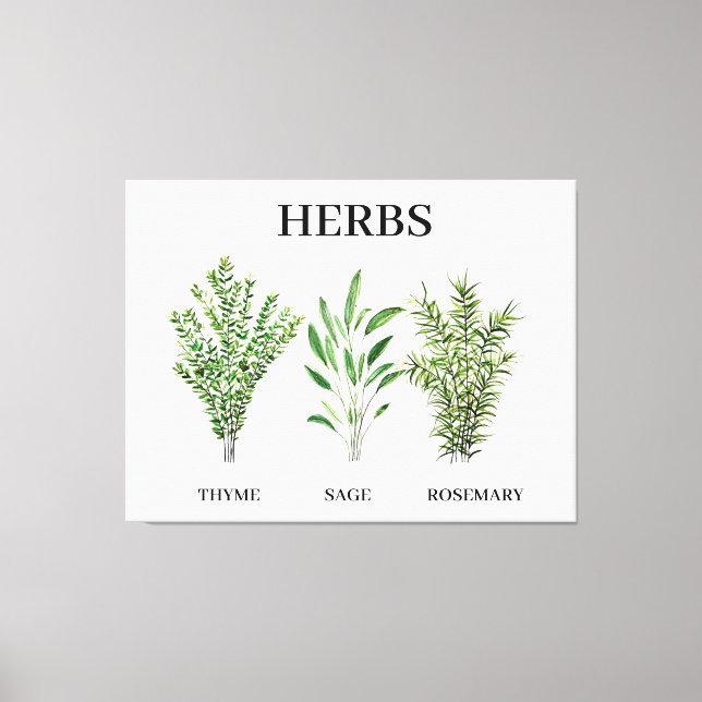 Rosemary Thyme Sage Herbs Culinary Kitchen Chef Canvas Print (Front)