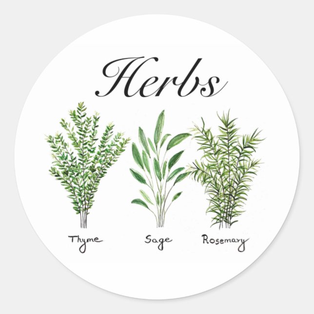 Rosemary Thyme Sage Herbs Culinary Kitchen Chef Classic Round Sticker (Front)
