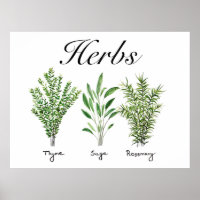 Rosemary Thyme Sage Herbs Culinary Kitchen Chef
