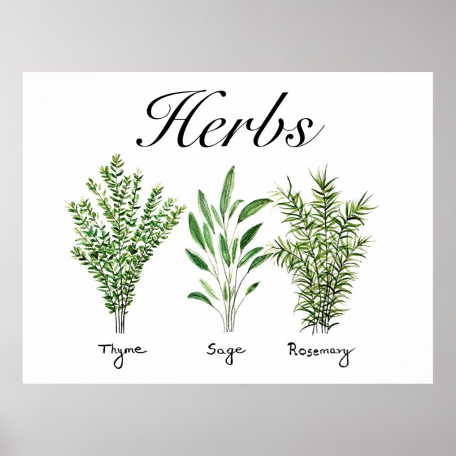 Rosemary Thyme Sage Herbs Culinary Kitchen Chef  Poster (Front)