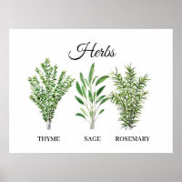 Rosemary Thyme Sage Herbs Culinary Kitchen Chef