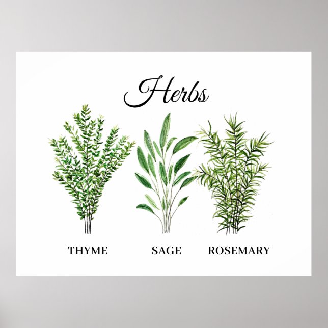 Rosemary Thyme Sage Herbs Culinary Kitchen Chef Poster (Front)