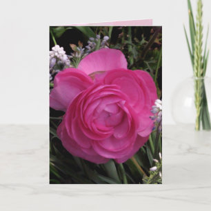 RoseRed... Card