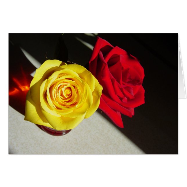 Roses (Front Horizontal)