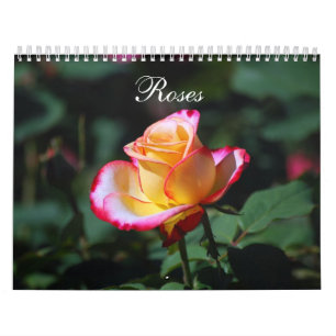 Roses 2012 Calendar