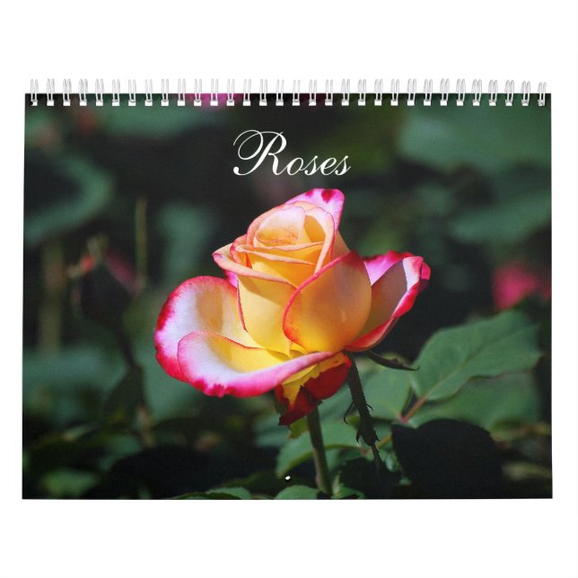 Roses 2012 Calendar (Cover)