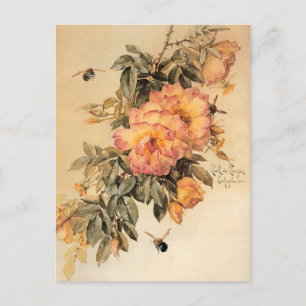 ‘Roses and Bumblebees’ by Paul de Longpré Postcard